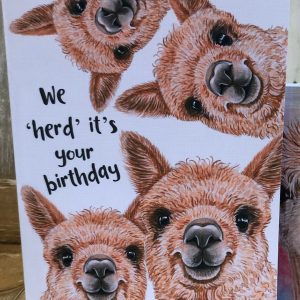 We herd it's your birthday - alpaca birthday card