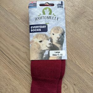 Everyday Socks